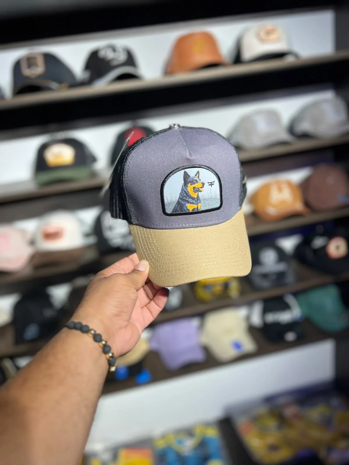 Gorra agropecuaria pastor alemán