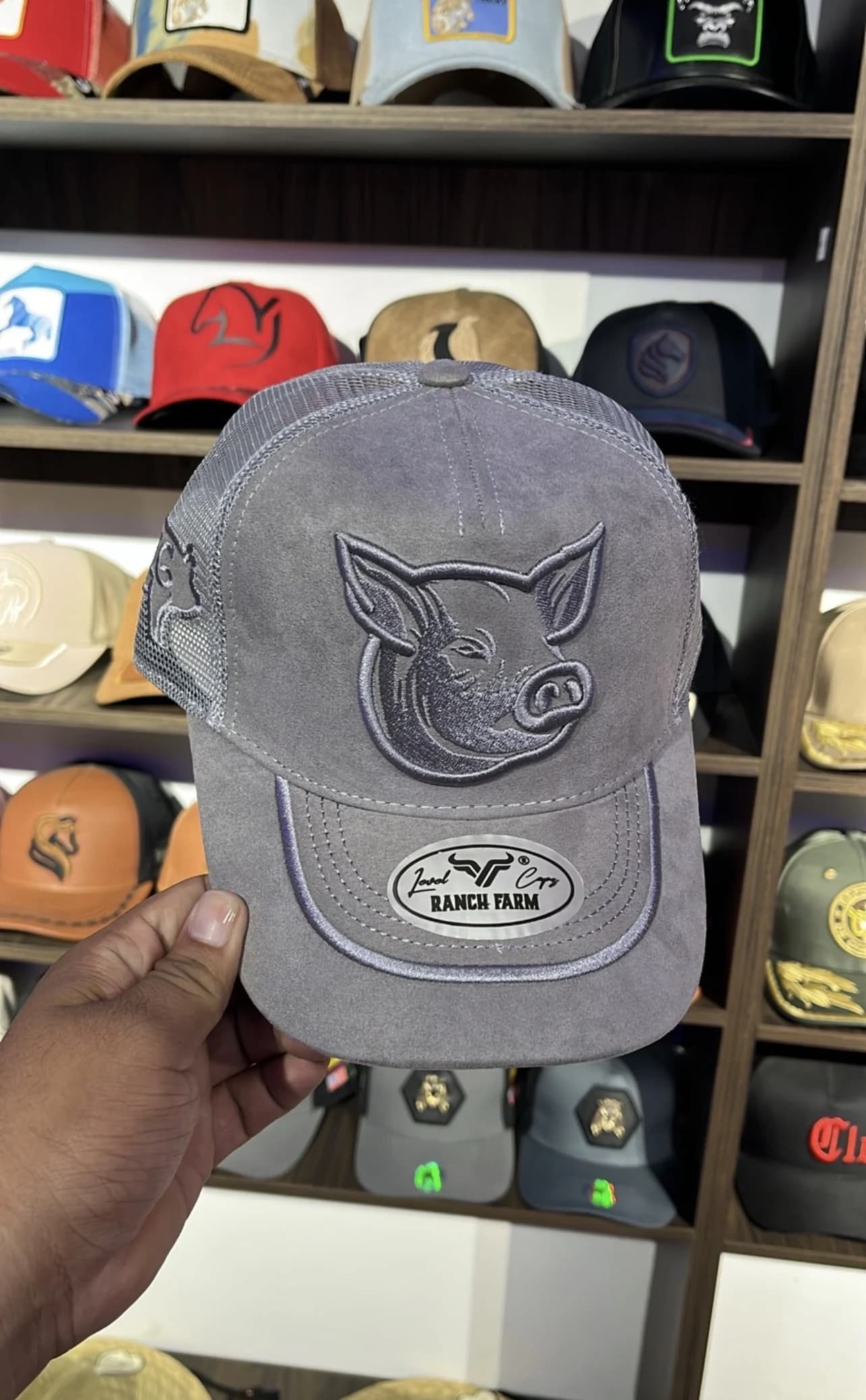 Gorra porcina
